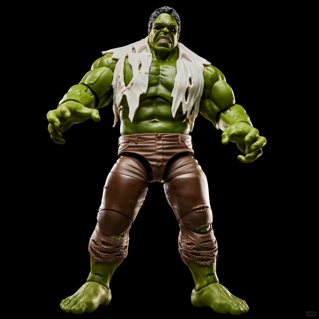 Marvel Legends Hulk Brand New Day Action Figure Hasbro Marvel Preorder