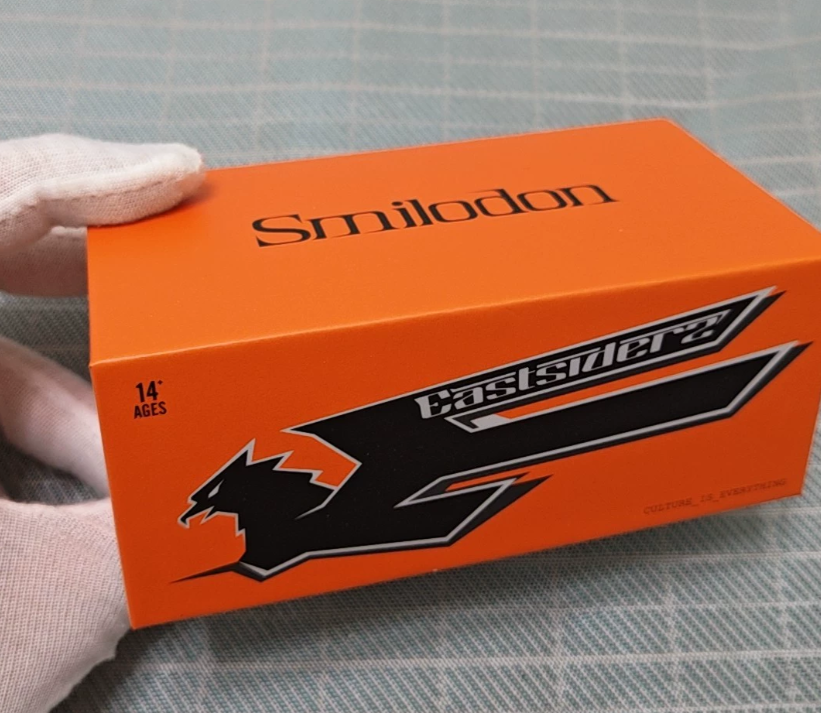 TimeMicro x PSC DESIGN 1/64 Nissan R34 Tooth Tiger Eastsiderz
