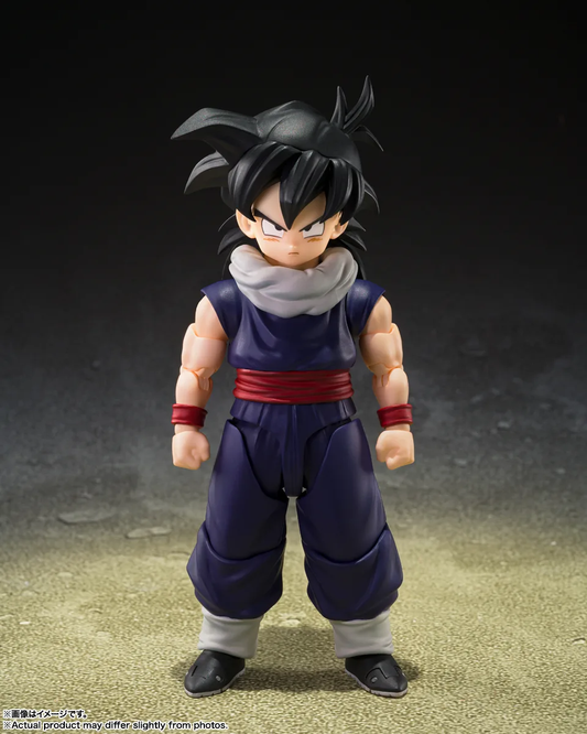 S.H.Figuarts Son Gohan Z Warrior Limited Edition w/ Display Base A Preorder