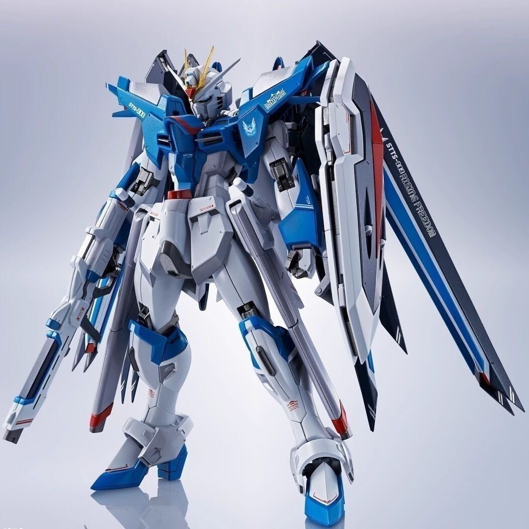 Bandai Metal Robot Spirits Rising Freedom Gundam STTS-909 Action Figure
