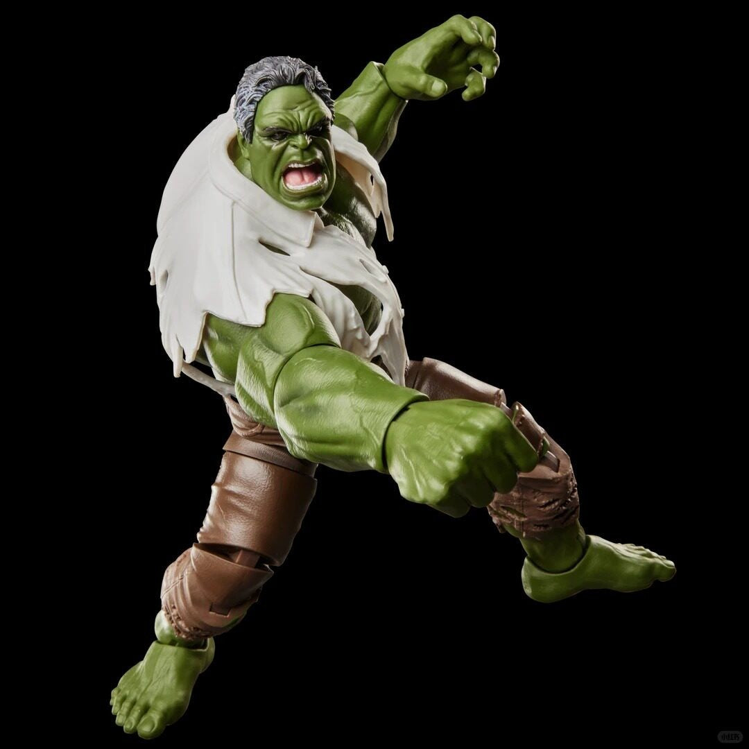 Marvel Legends Hulk Brand New Day Action Figure Hasbro Marvel Preorder