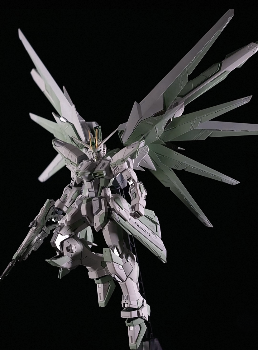 MG 1/100 Super Welfare Freedom Gundam Custom Ver. SHANGYONG Model Kit