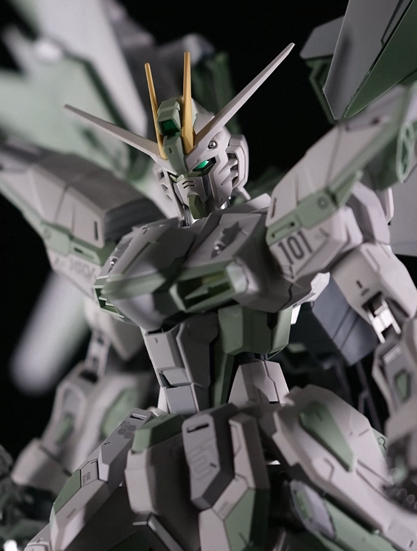 MG 1/100 Super Welfare Freedom Gundam Custom Ver. SHANGYONG Model Kit
