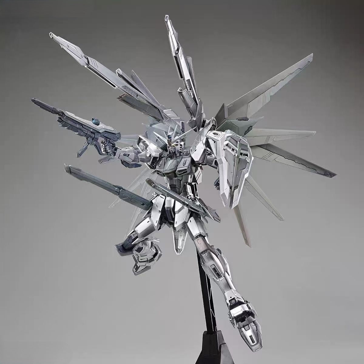 MG Freedom Gundam Ver.2.0 Silver Coating Base Limited Metallic Finish Model Kit