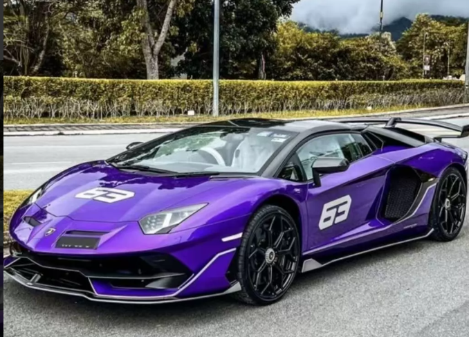 TARDIS 1/64 Lamborghini Aventador SVJ Roadster Dark Purple Mica LE149